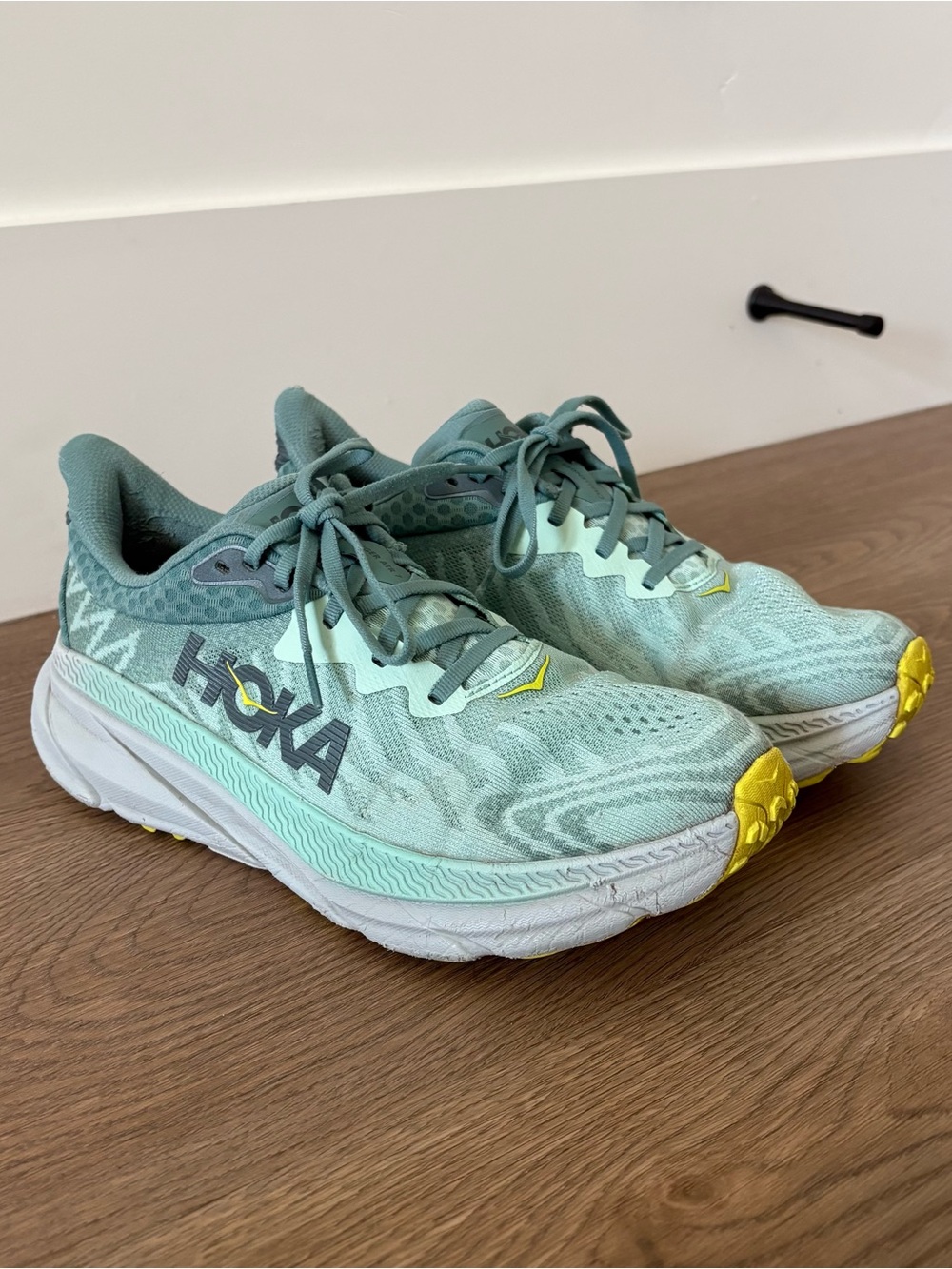 Women’s Hoka Challenger ATR 7 Size 8.5 Wide
